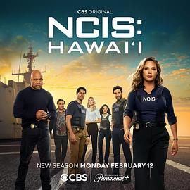 海军罪案调查处：夏威夷 第三季(全集)